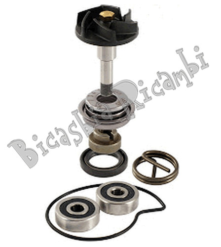 2731 kit revisione pompa - 2731,